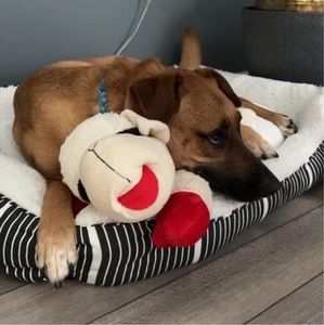 Meet your Posher, Karen